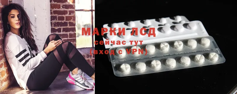 Лсд 25 экстази ecstasy  Заводоуковск 