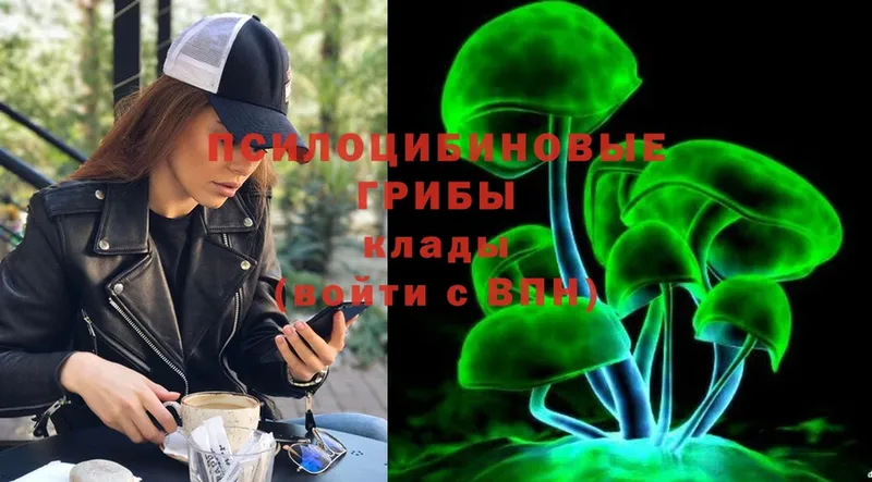 цены наркотик  Заводоуковск  Галлюциногенные грибы MAGIC MUSHROOMS 